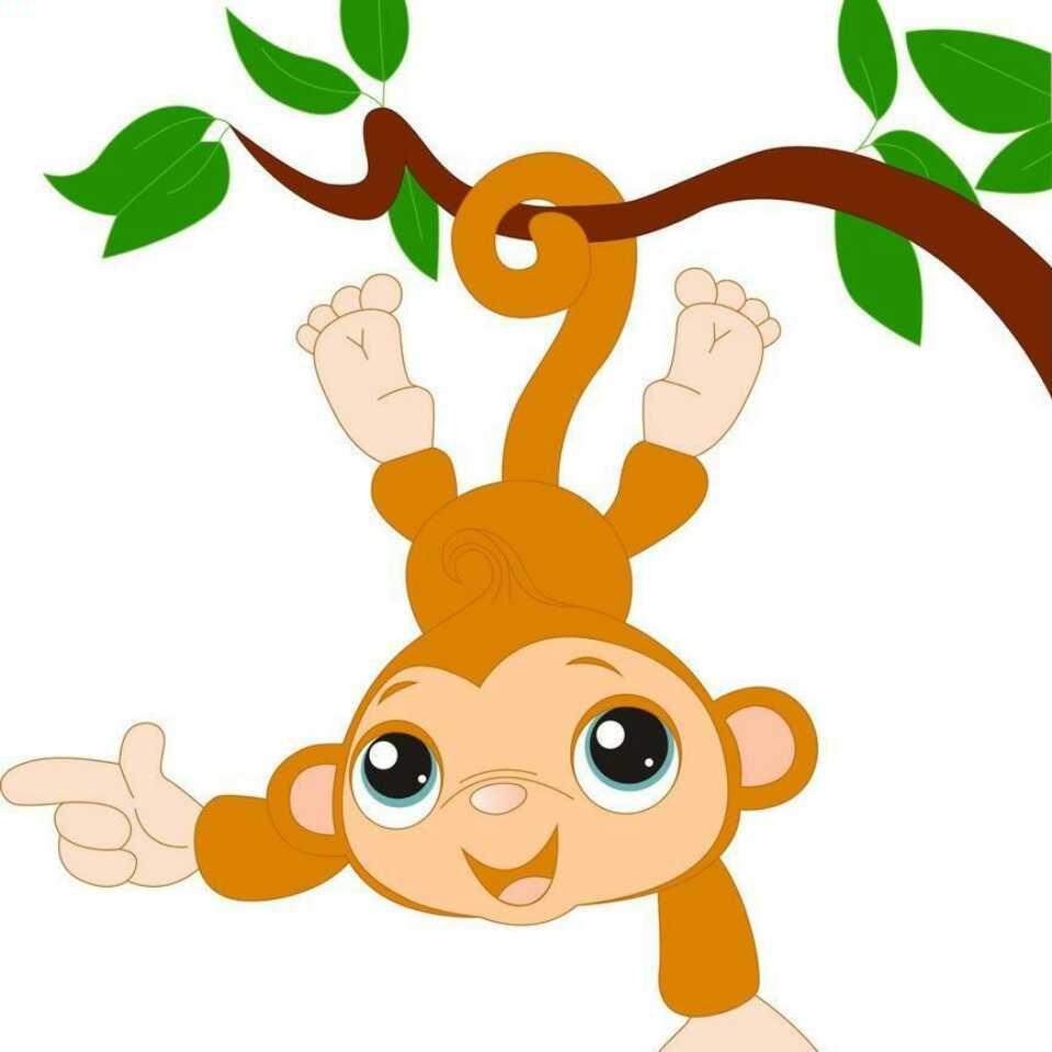 不予时光度流年