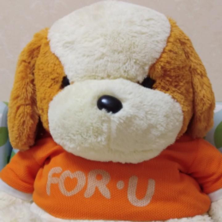 异乡的平子
