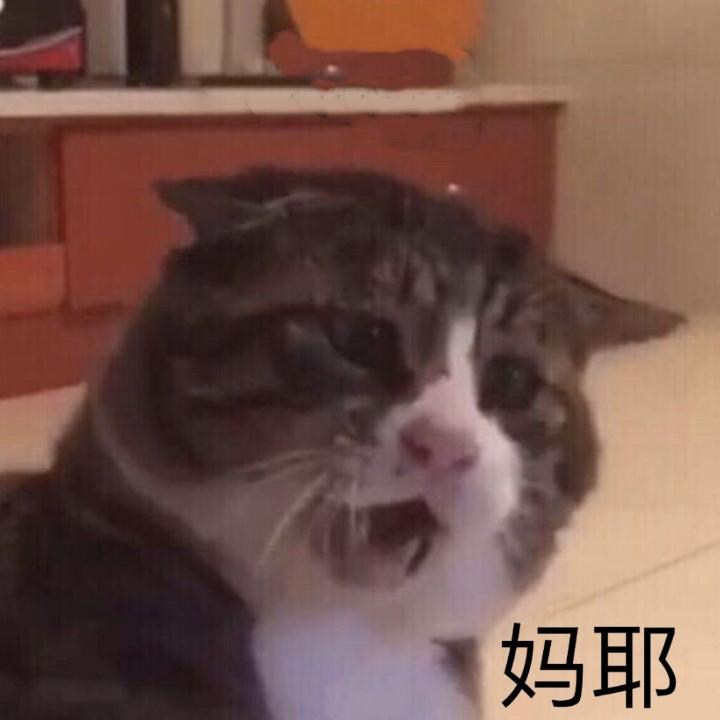 怕不会哦