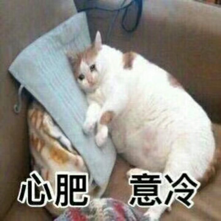 我是牙牙呀