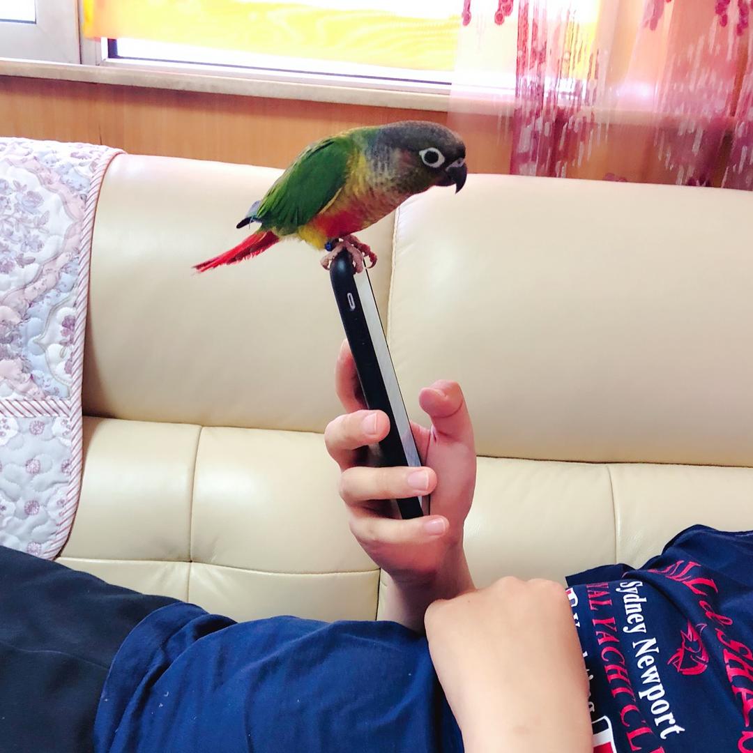 你瞅侠