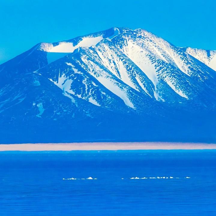 聂之寒