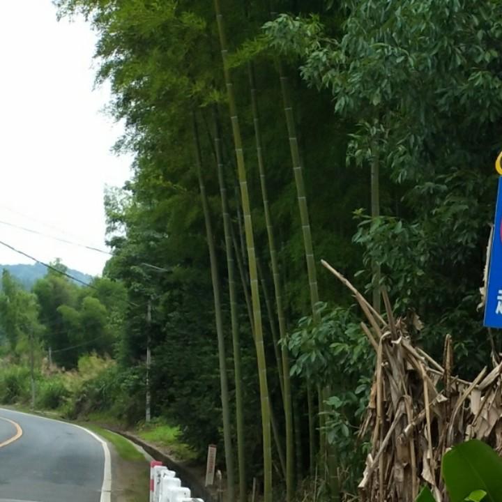 已重置