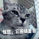 阿tell