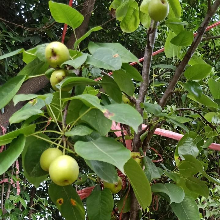 保护你