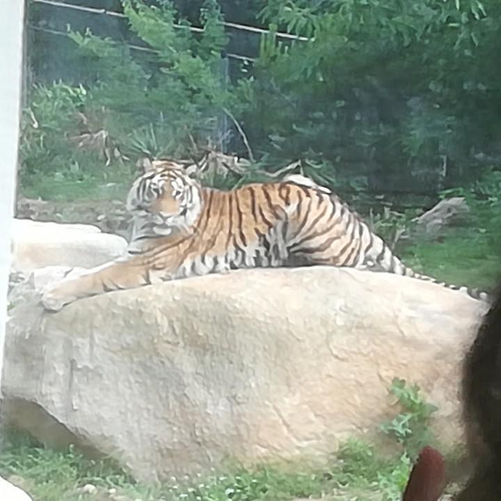 …………(･｀赵凯ω´･☝)……