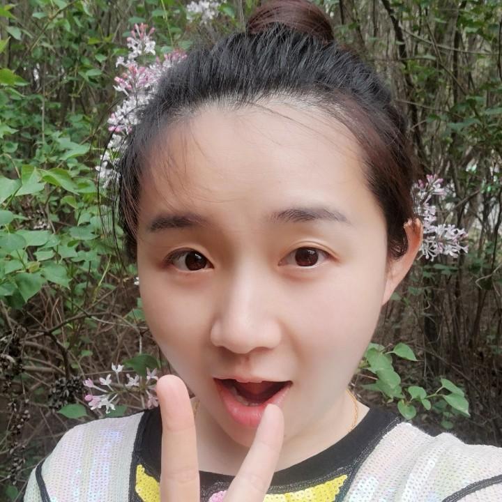 女飞贼