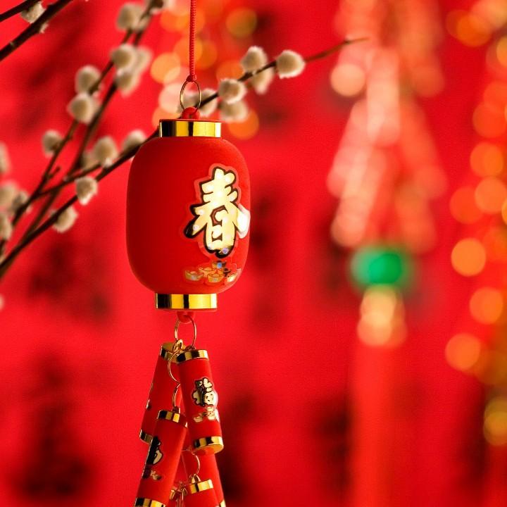 麦芽糖