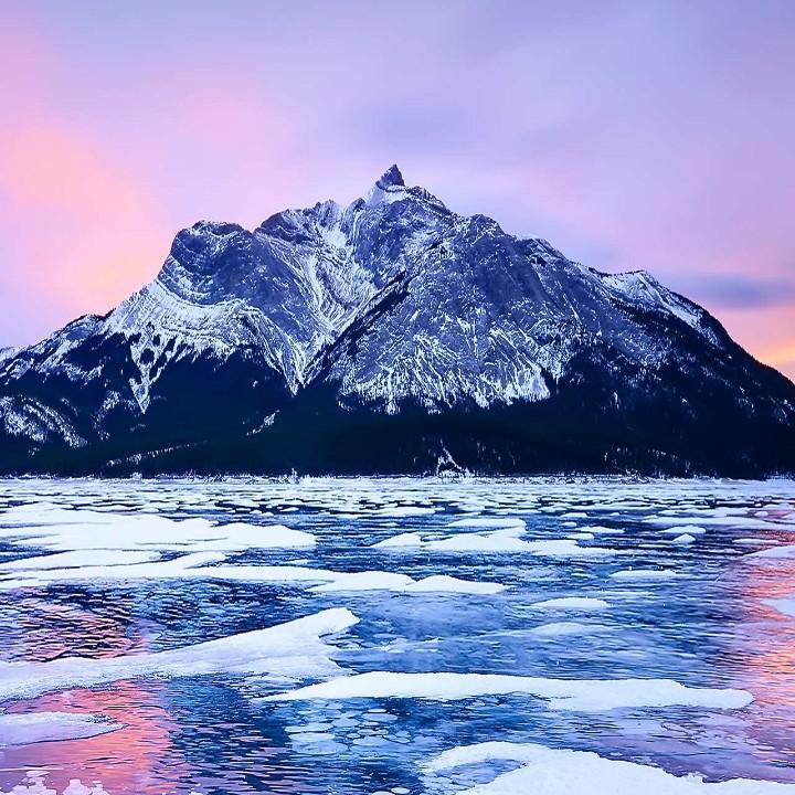 成都誉德电器有限公司