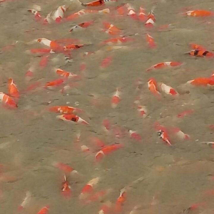 诚信第一