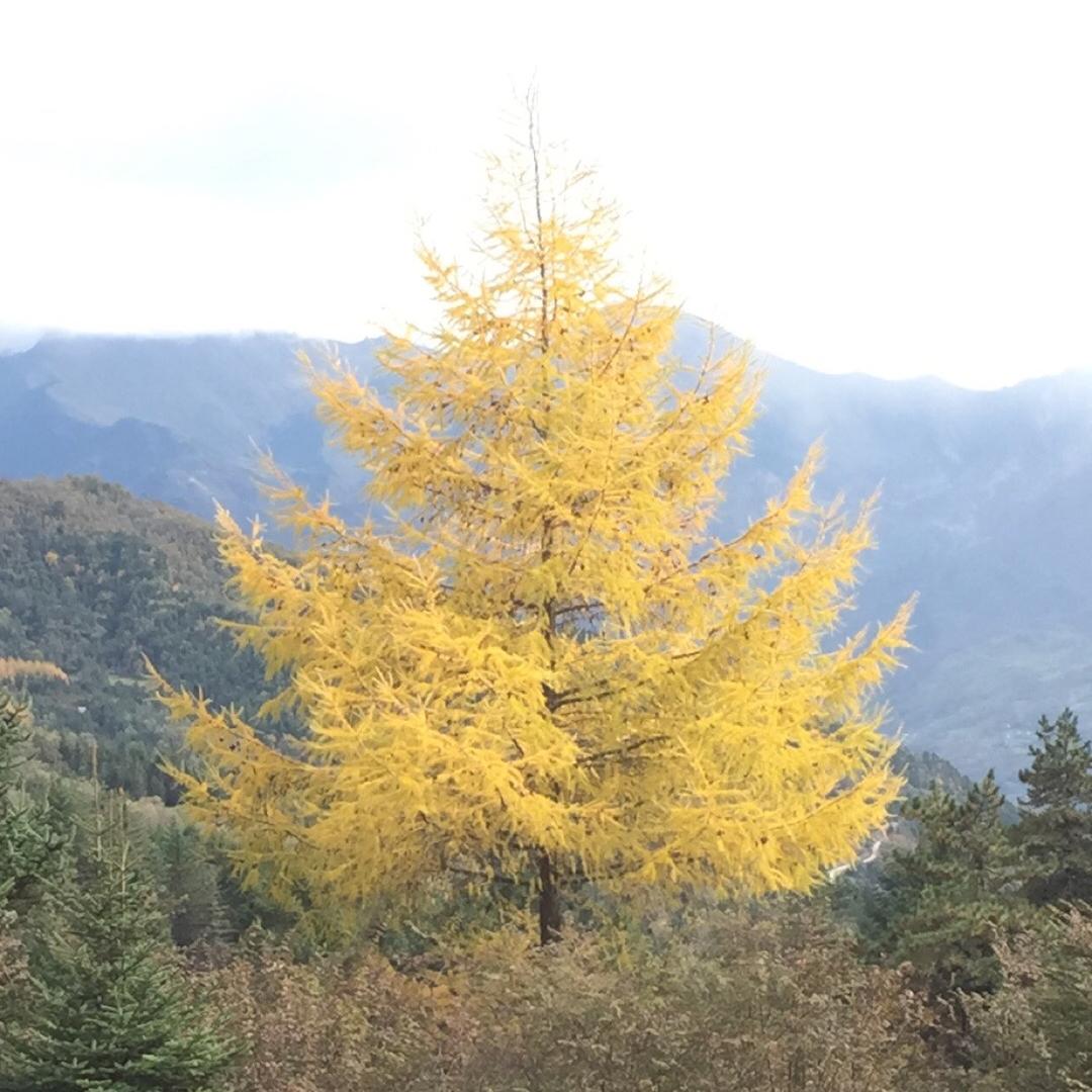 神木垒隔壁老王