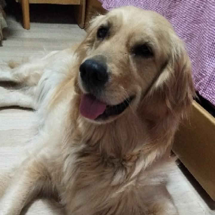 🐶萌宝🐶