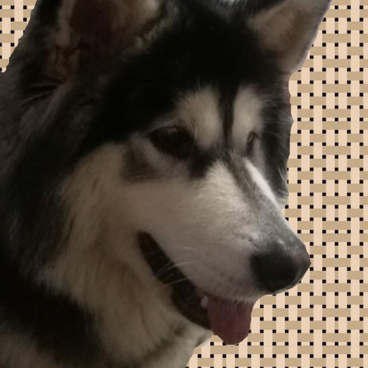 A独、处
