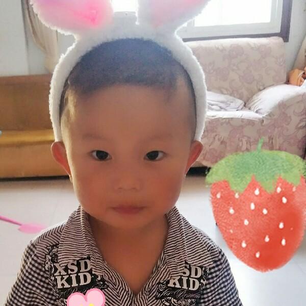 舞钢市柯小明大脸鸡排店