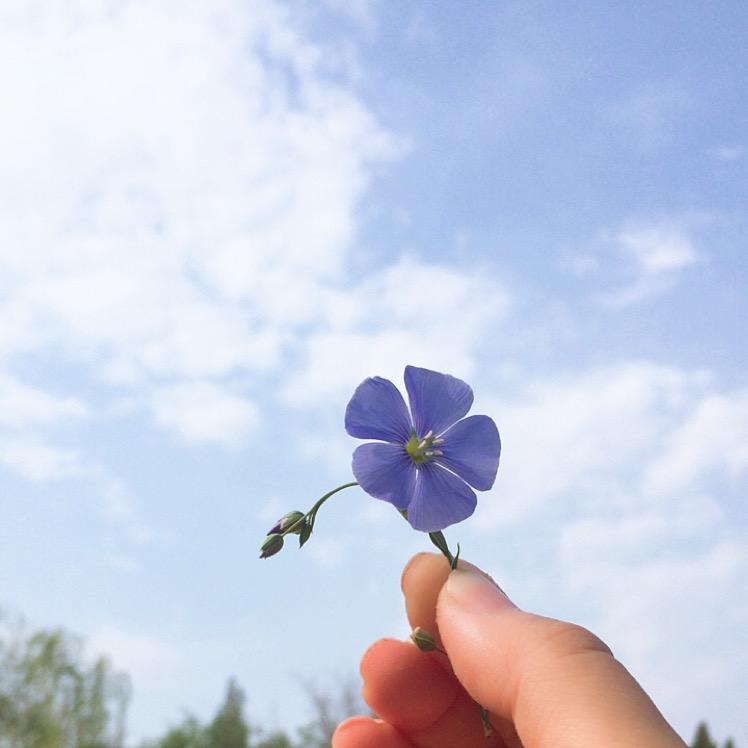 🌈🌸贝🌸