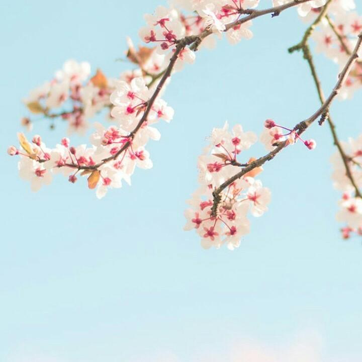 雨过天晴