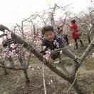 @建哥粮食收购出售