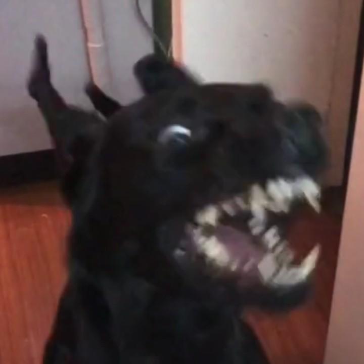 Leave Me Alone
