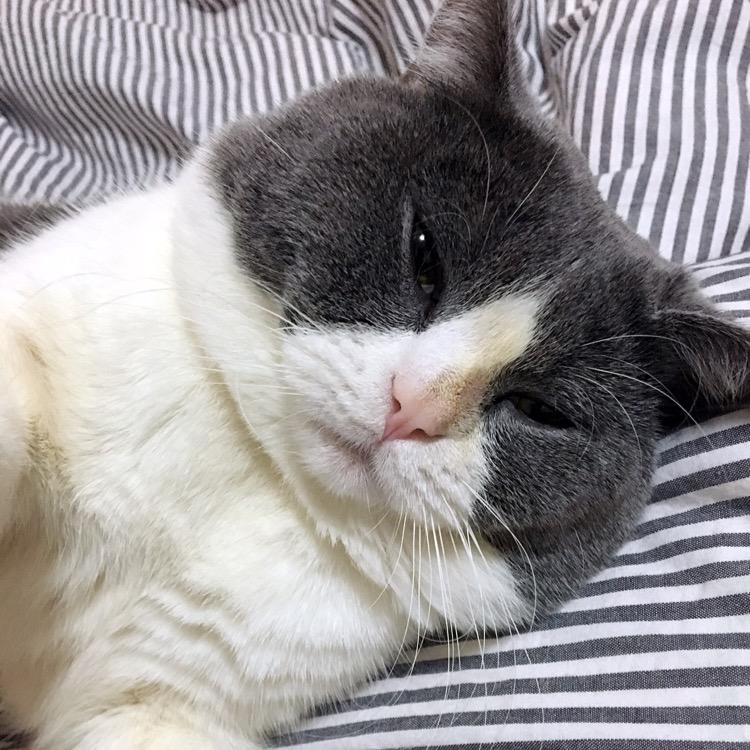 战