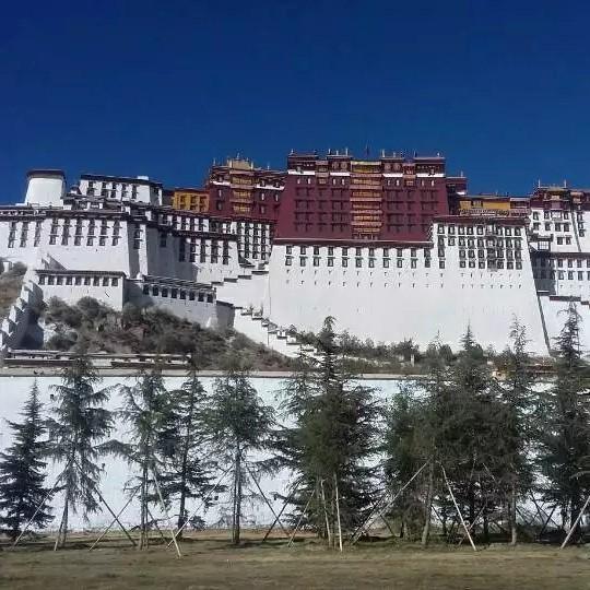 霸道小男人_242798694