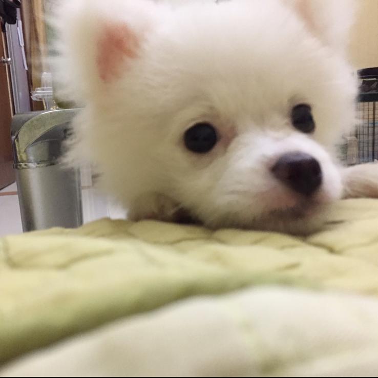 港岛啊超🏂🏂～～