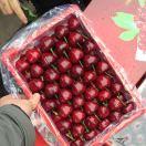 嘉兴市场 鲁先生