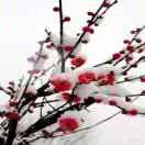 甘肃农村娃(承蒙厚爱 )