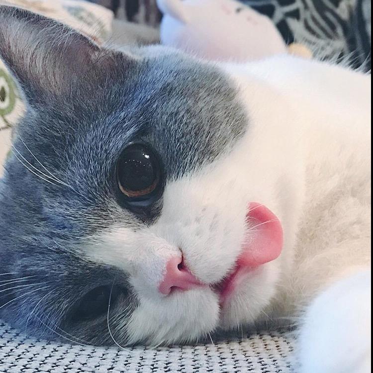 褪色