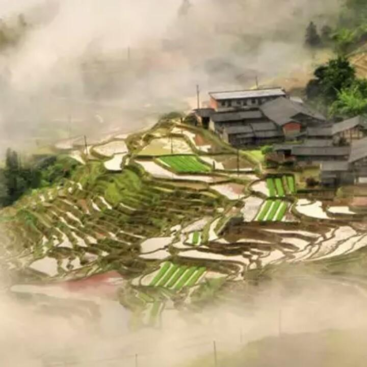 小❤️昕