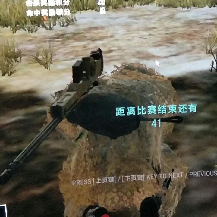 疯子