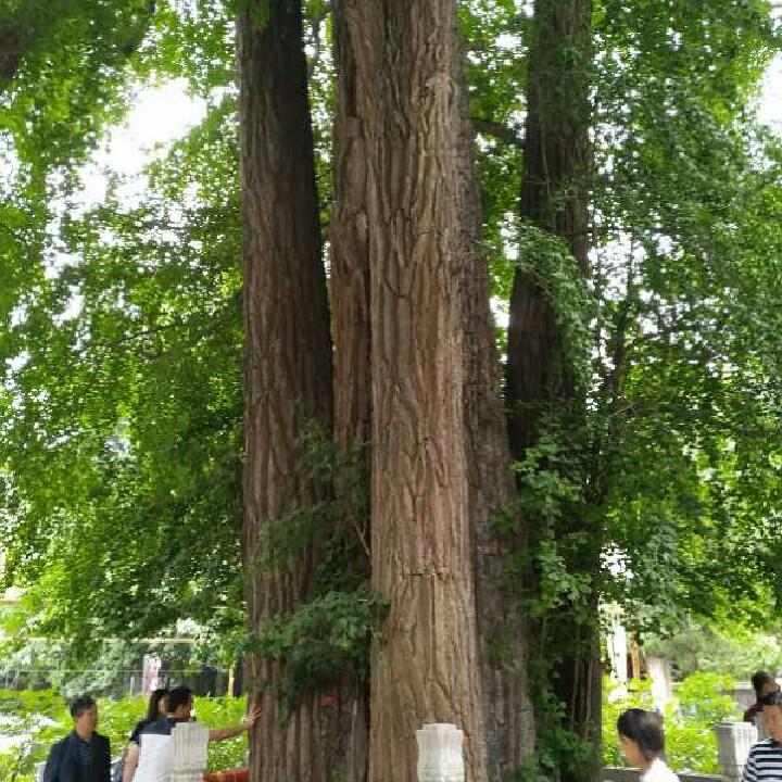 春种秋实