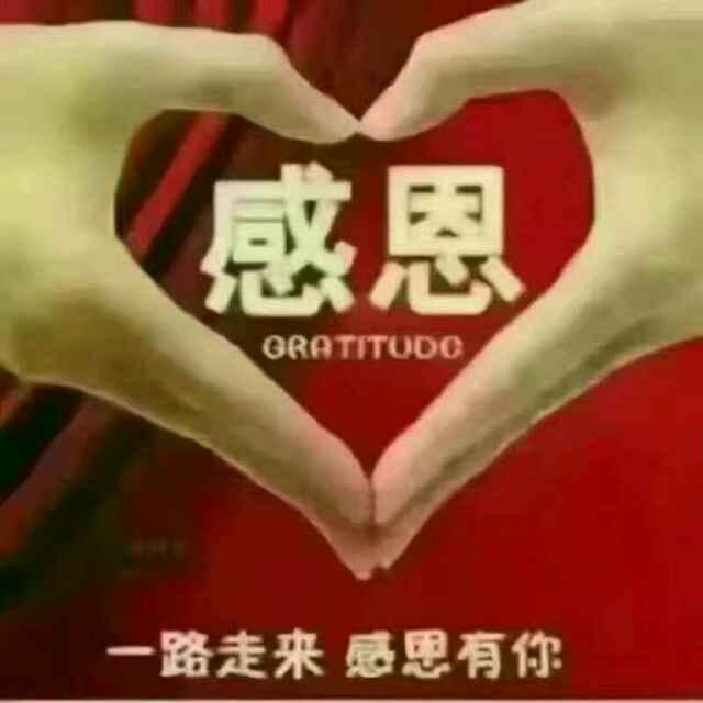 飞鸿007