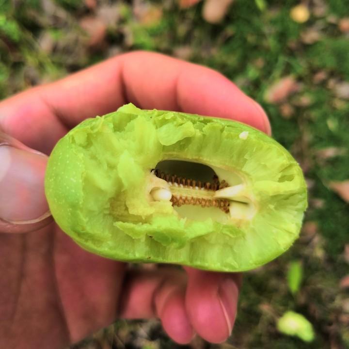 绿键侠