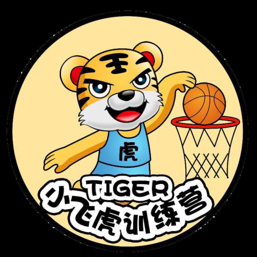 小飞虎训练营
