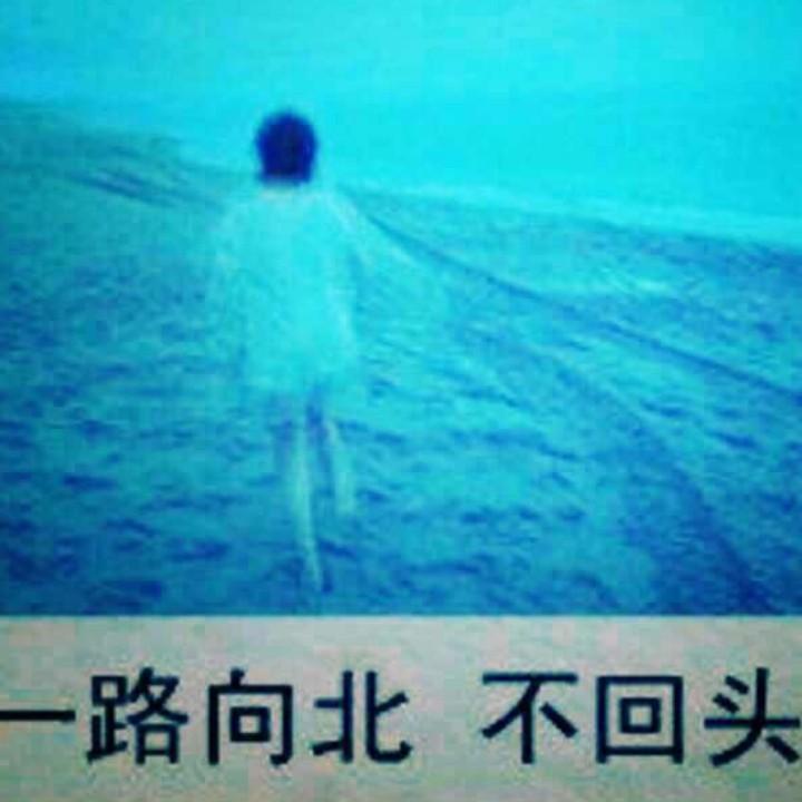 一路向北不回头