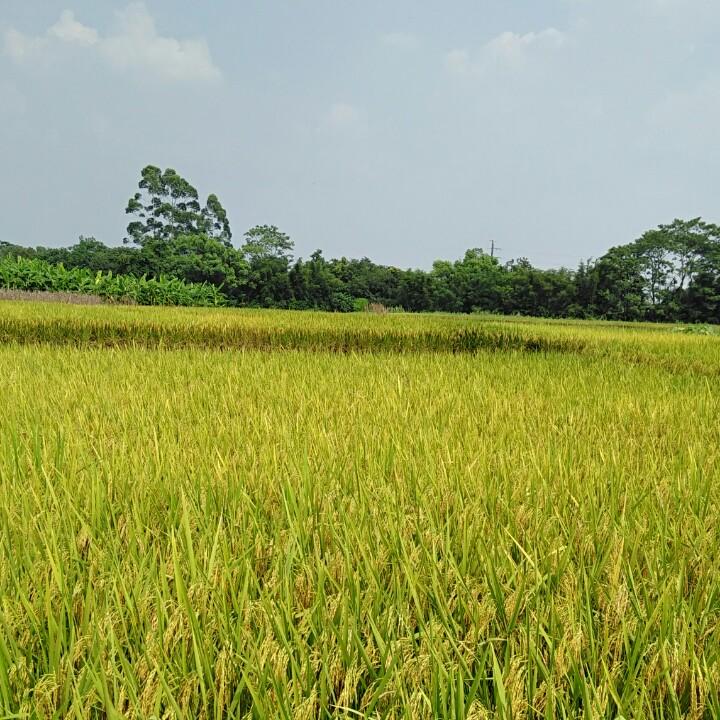 古映坊饰品商行