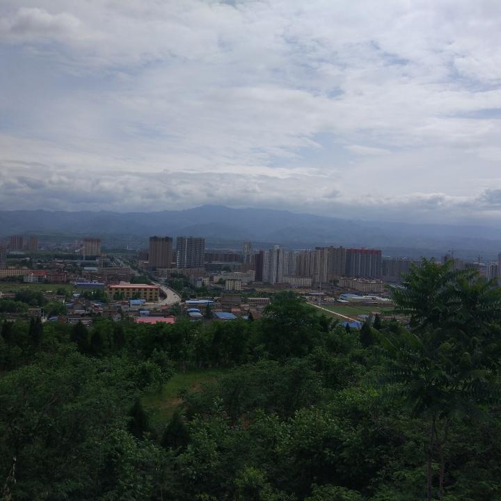 猫头鹰医匠