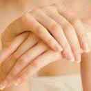 清香百合（橱窗有好物）