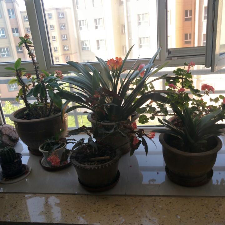 小庄