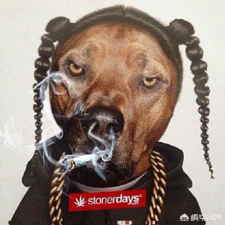 吴彦祖㏒