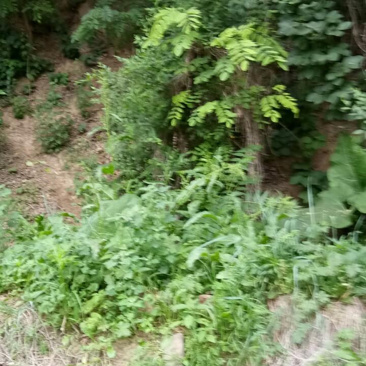 碾张志强家具家电城老大