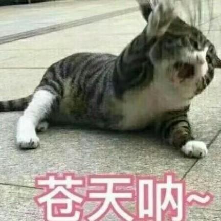 非专业人员喷下家