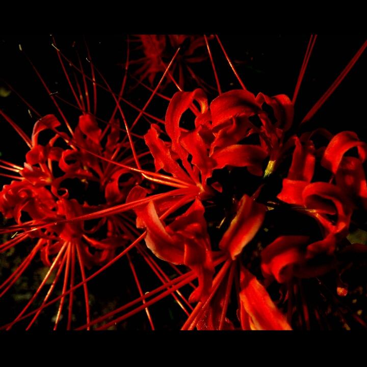 __没有背景丶只有背影