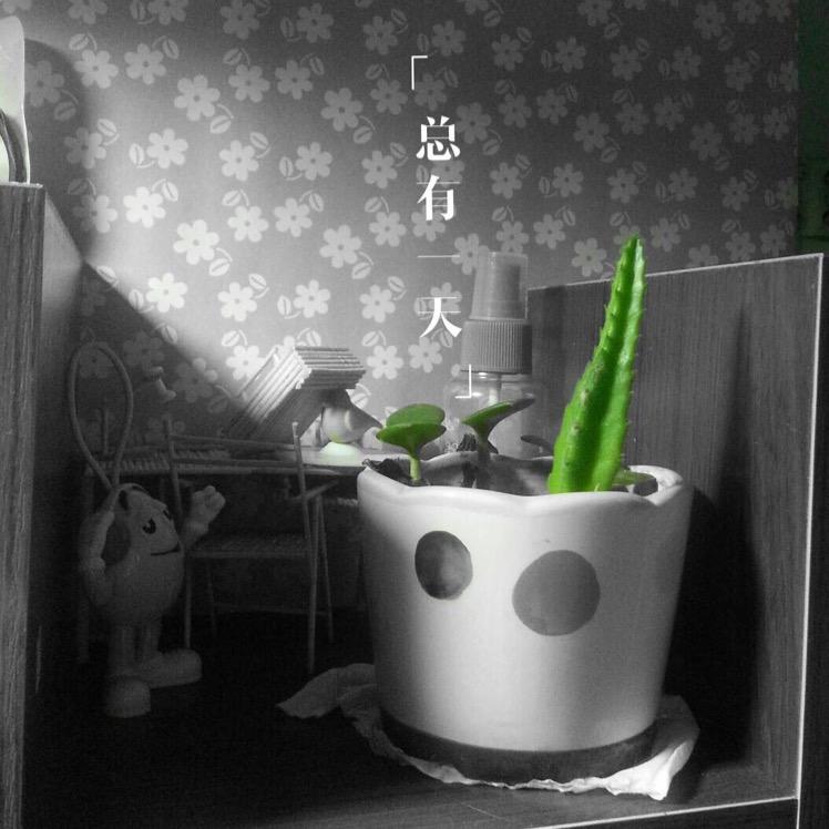 啓呩錄埖埖海の冭泙烊