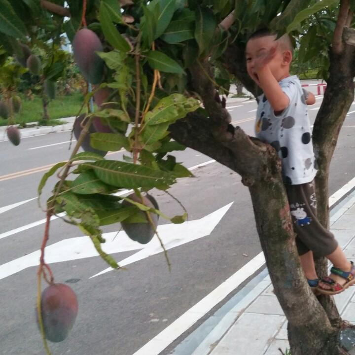 就在这个冬天