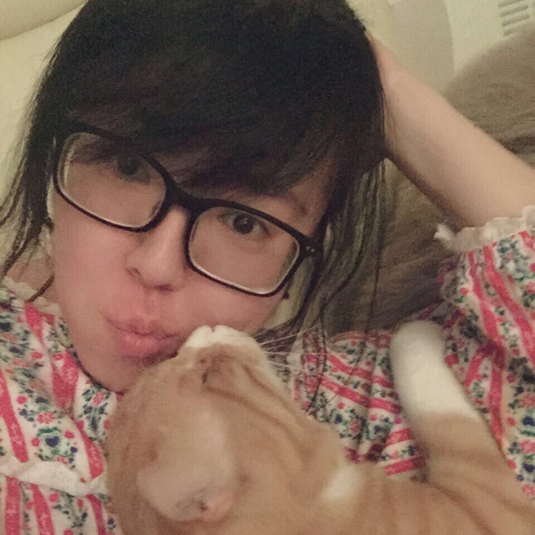 小鹿乱撞🐾