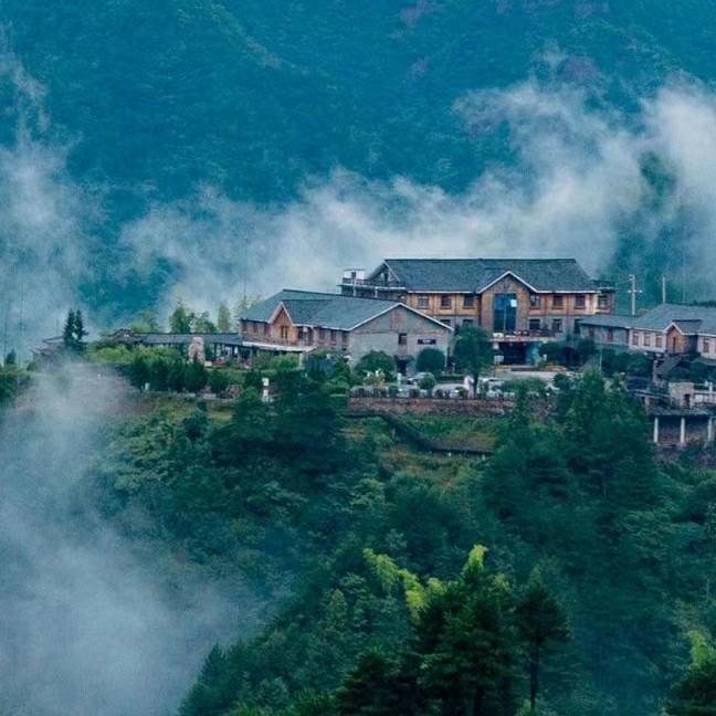 弦子弹到你门前