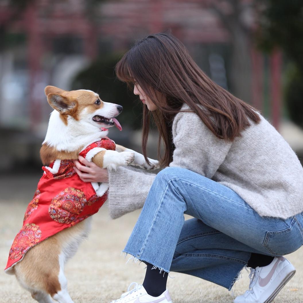 小短腿汤圆