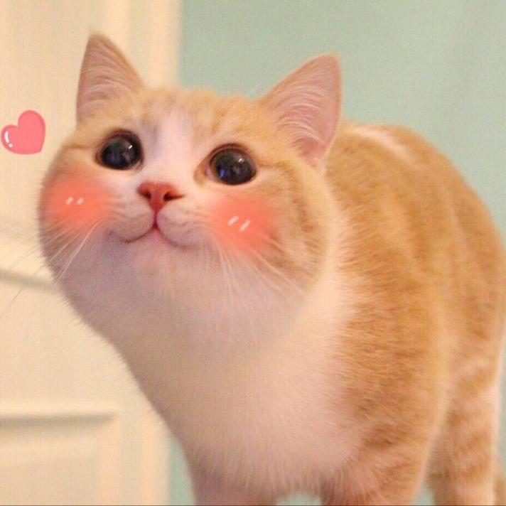 浅笑