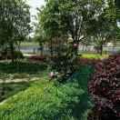 网络之缘《拒绝私聊》